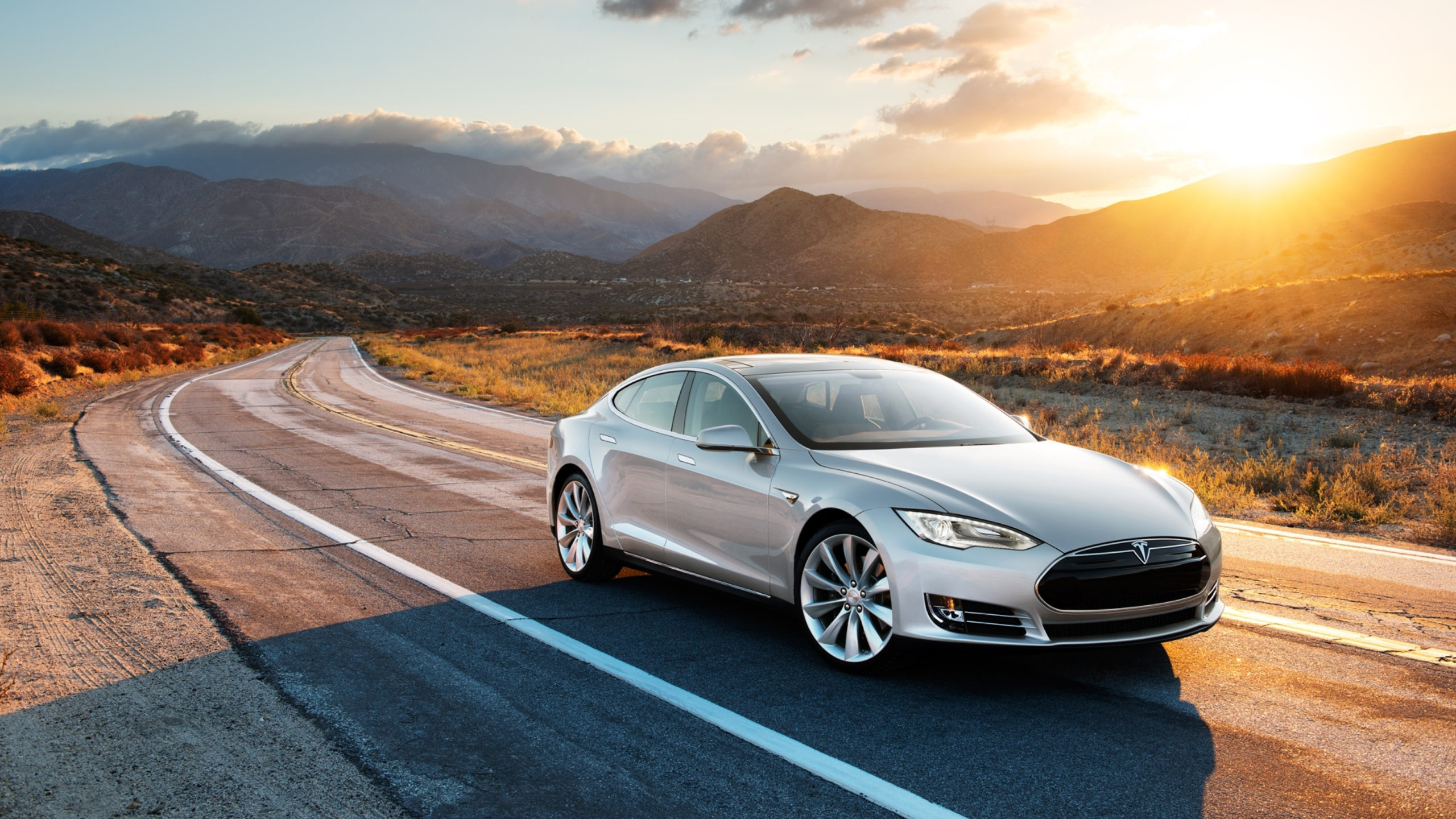 Tesla electric car