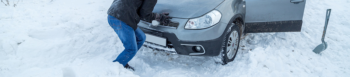 Winter Driving Survival Guide