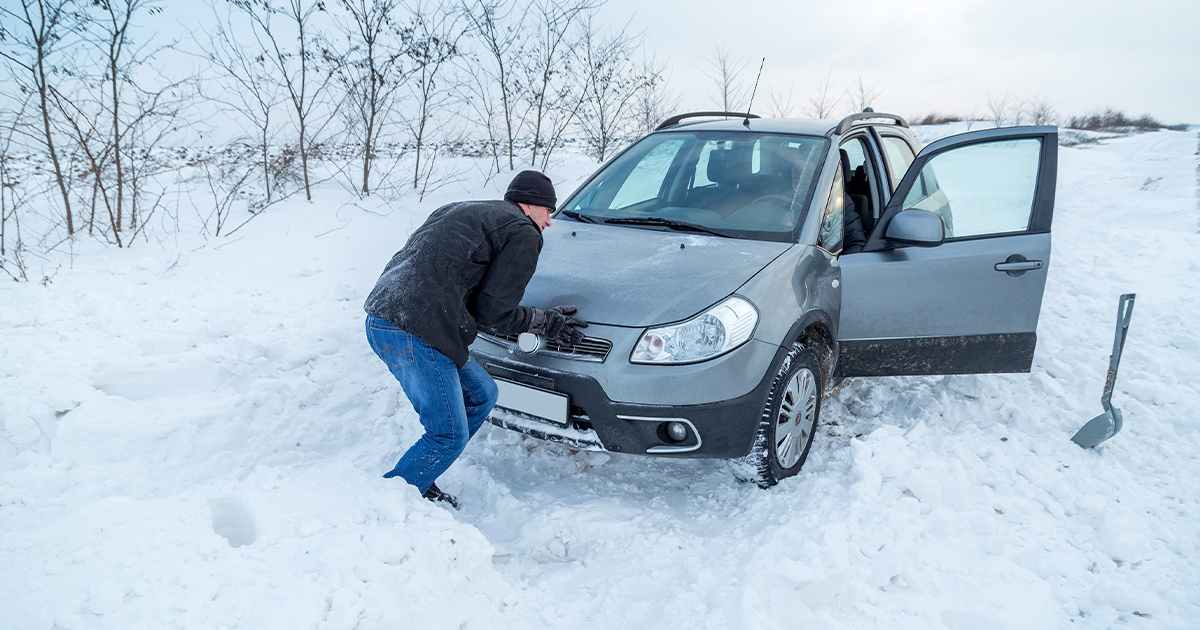 Winter Driving Survival Guide