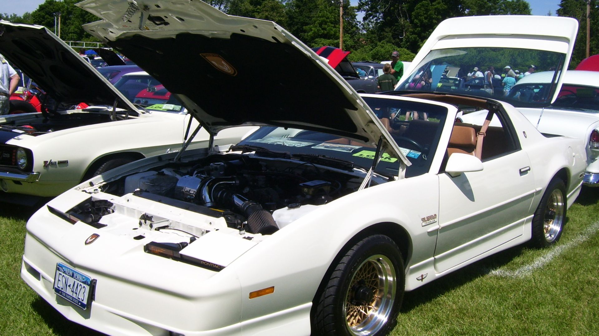 The Pontiac Trans Am: The “Screaming Chicken” That Ruled America’s Streets
