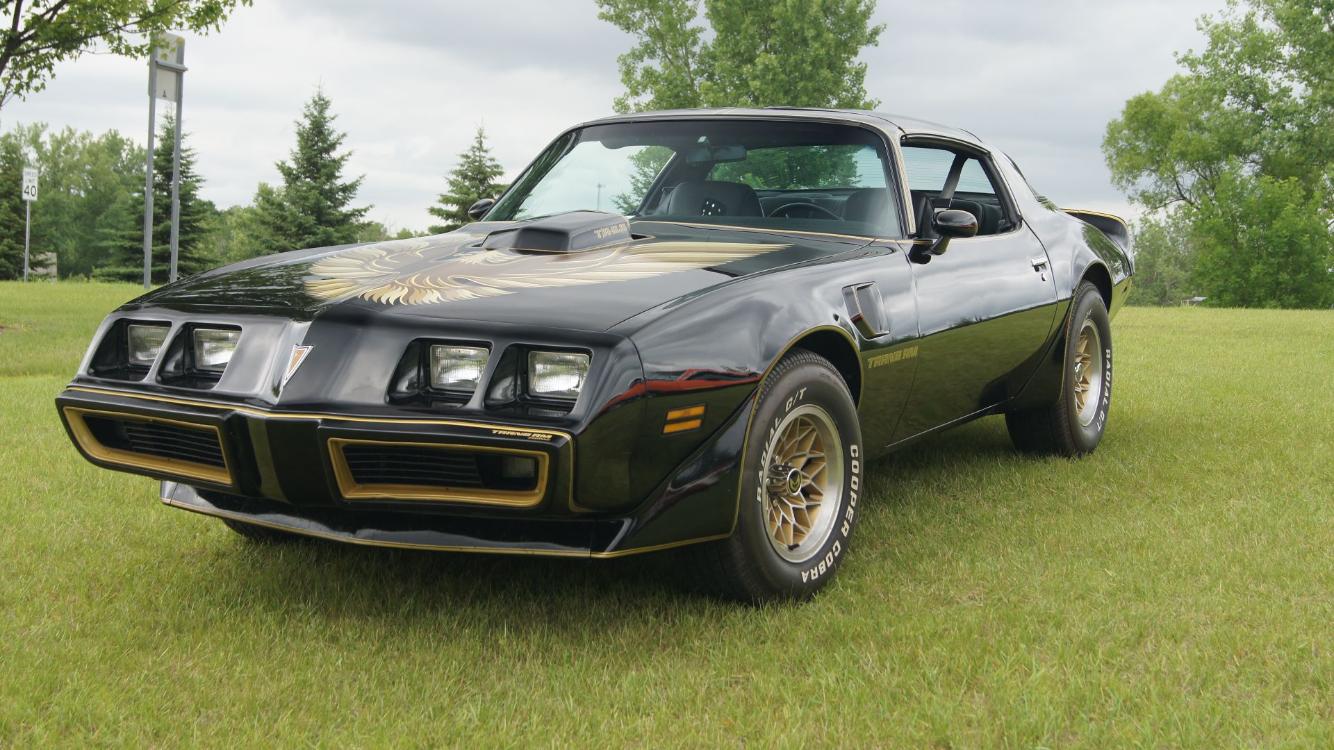 File:1979 Pontiac Trans Am (18935624421).jpg