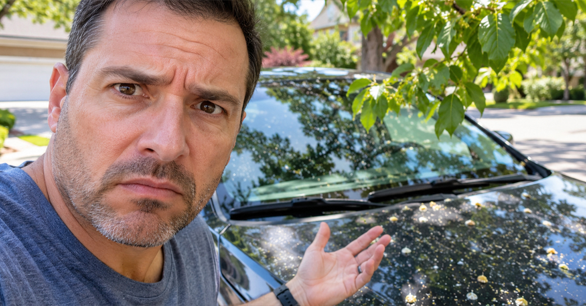 Angry neighbor, motioning to his car covered in tree sap.